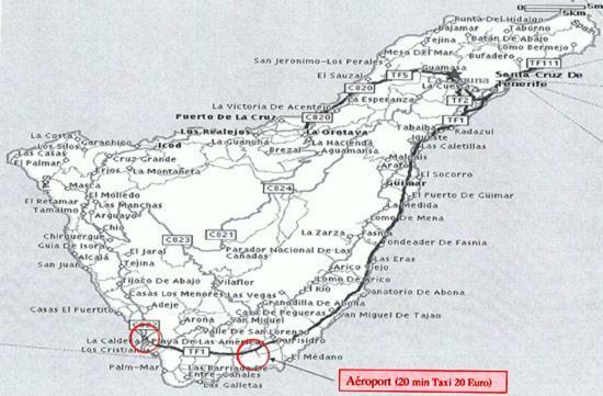 Las Terassas- Playa de las americas - Ténérife- Espagne Exterior foto